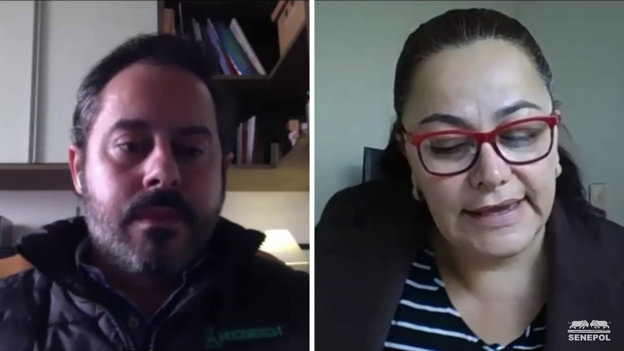 ABCB Senepol | A gen&ocirc;mica como ferramenta para tomada de decis&atilde;o