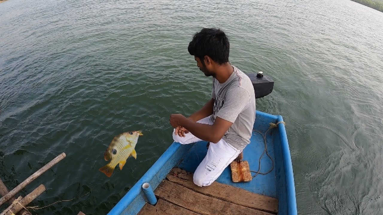 जीवित झींगा मछली पकड़ना || live shrimp fishing in village || @bablusolkar