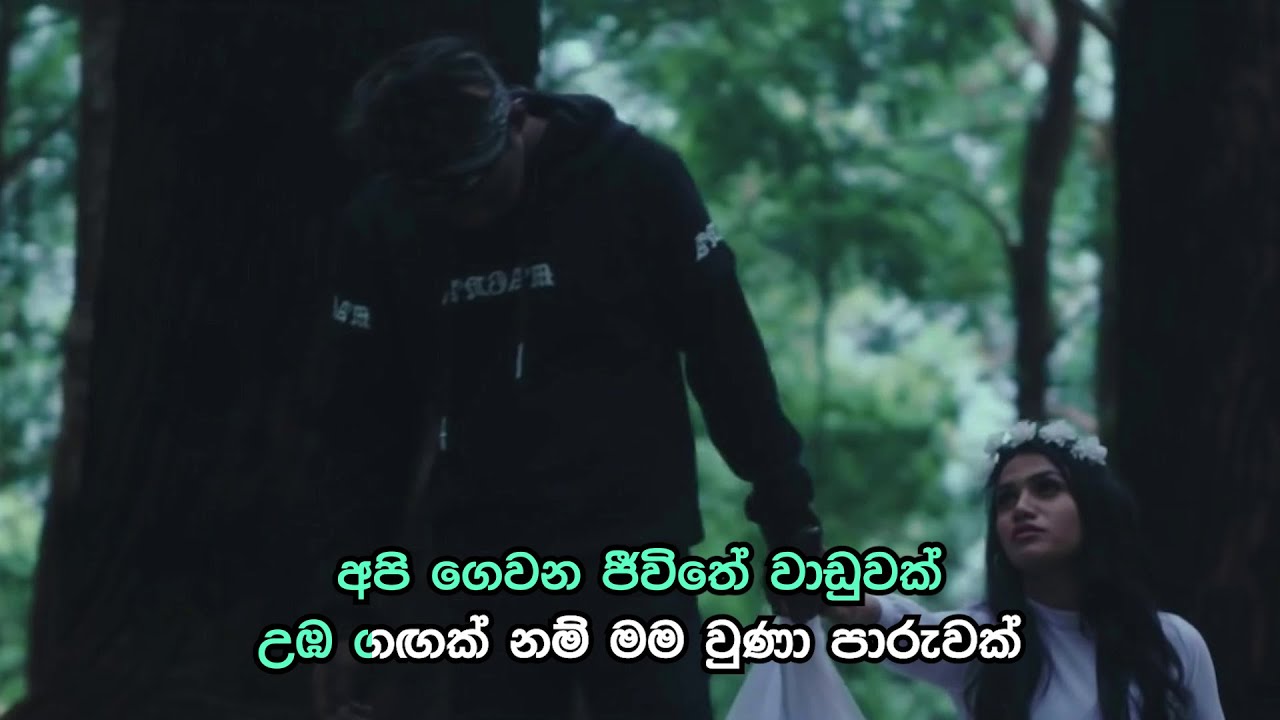 Ape Hadhakam - අපෙ හාදකම් (Api Gewana Jeewithe) | Official Karaoke