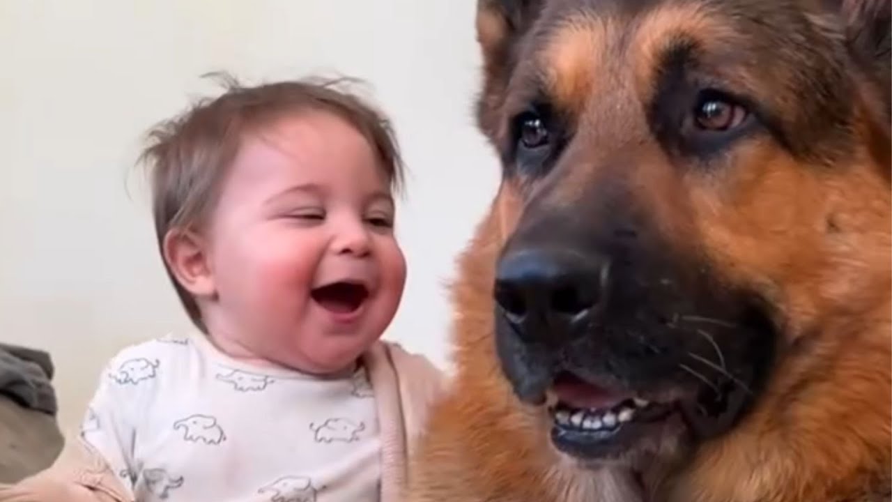 We Were Terrified How Our German Shepherd Would React To Our Newborn... Then This Happened