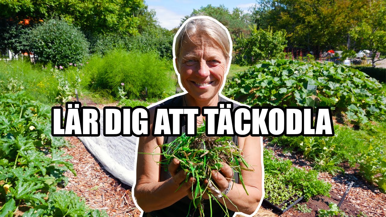 Lär dig att täckodla - Kosters Trädgårdar