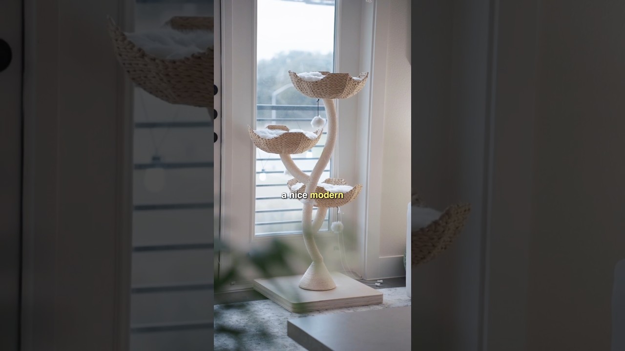 the best looking cat tree? 👀
