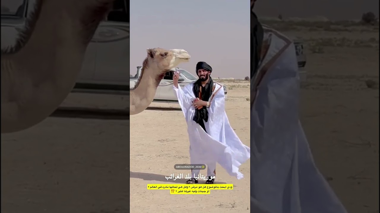 عبدالرحمن المطيري | أهل البل قد شفتوا مثلها ؟