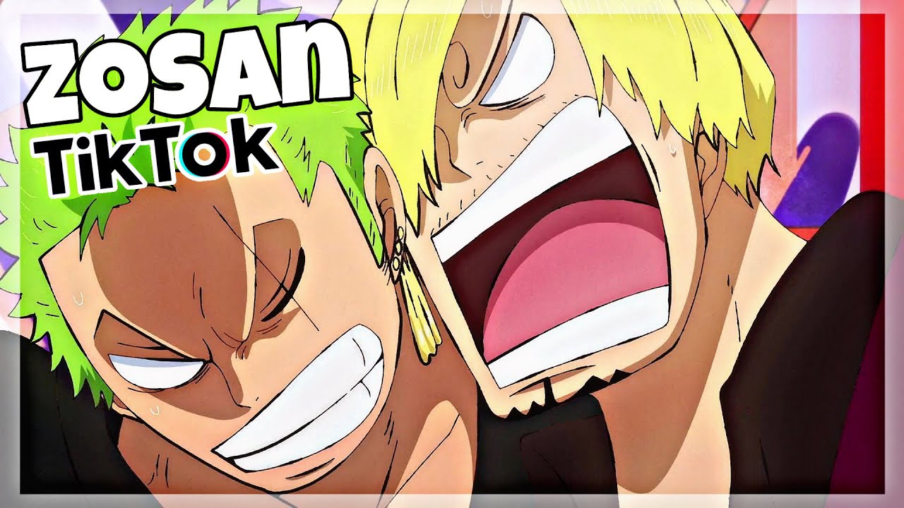 ZoSan (Roronoa Zoro and Sanji) Tiktok memes