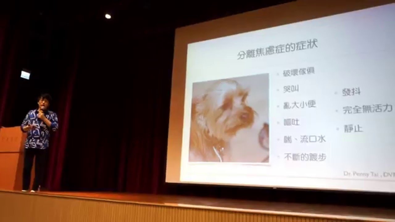 戴更基醫師寵物行為講座(分離焦慮)香港站 31Jan 2016