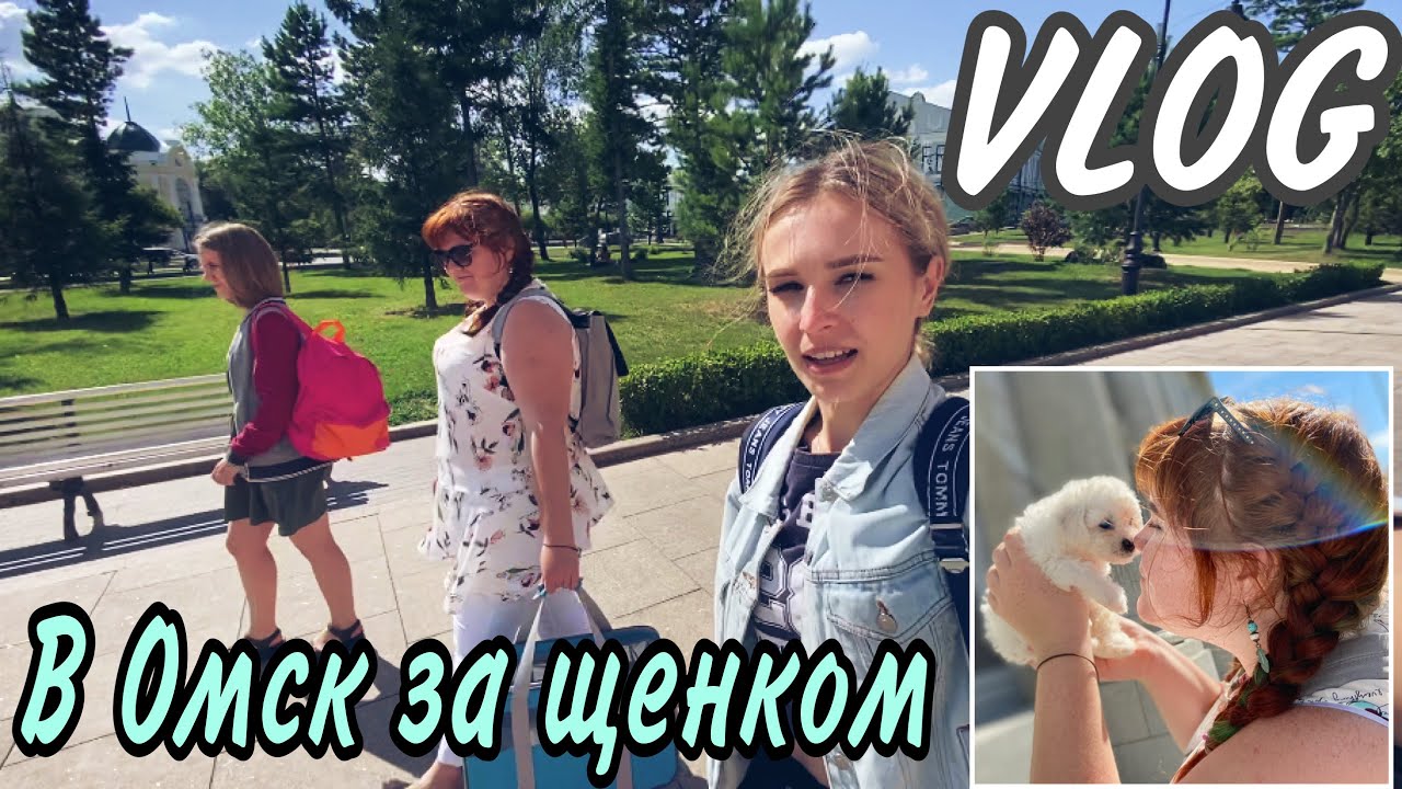 Vlog#4❚ Забираю своего щенка у заводчицы❚ Бишон фризе