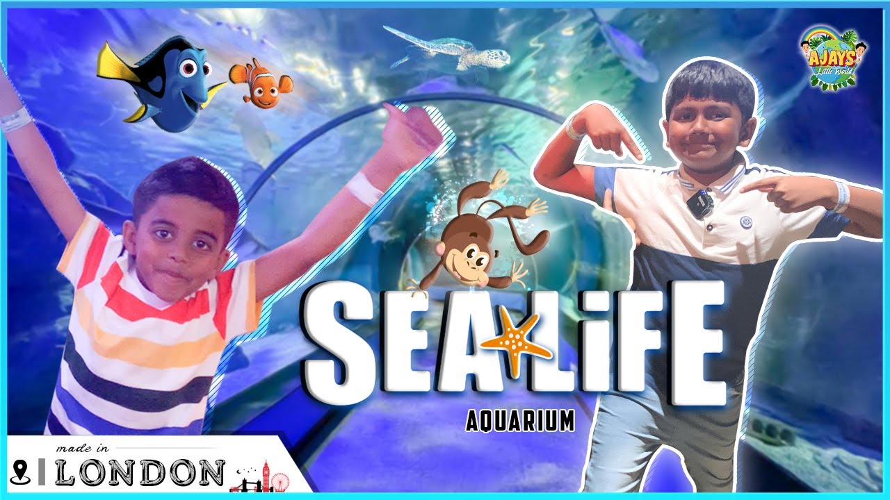 SEALIFE AQUARIUM TOUR #AJAYS LITTLE WORLD #LONDON