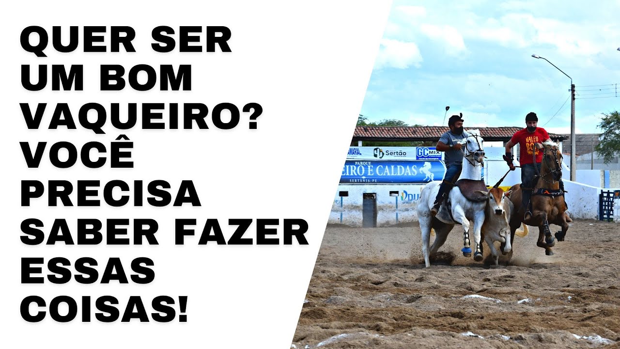 Você precisa saber fazer essas coisas básicas na vaquejada se quiser dobrar o seu desempenho