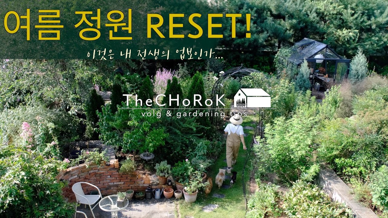 늦여름 풀뽑기 | 여름 가드닝 | 여름의 소리