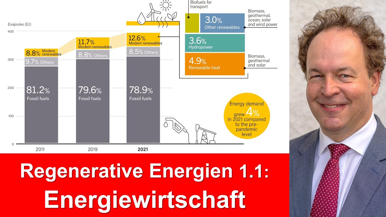 Regenerative Energien 1.1 (2024) - Energiewirtschaft