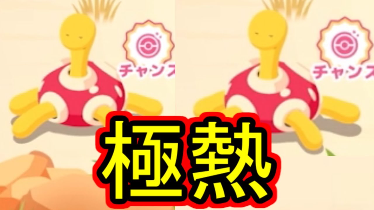 ツボツボ2体チャンスぅぅぅ！！！！！！！！！【ポケモンスリープ】