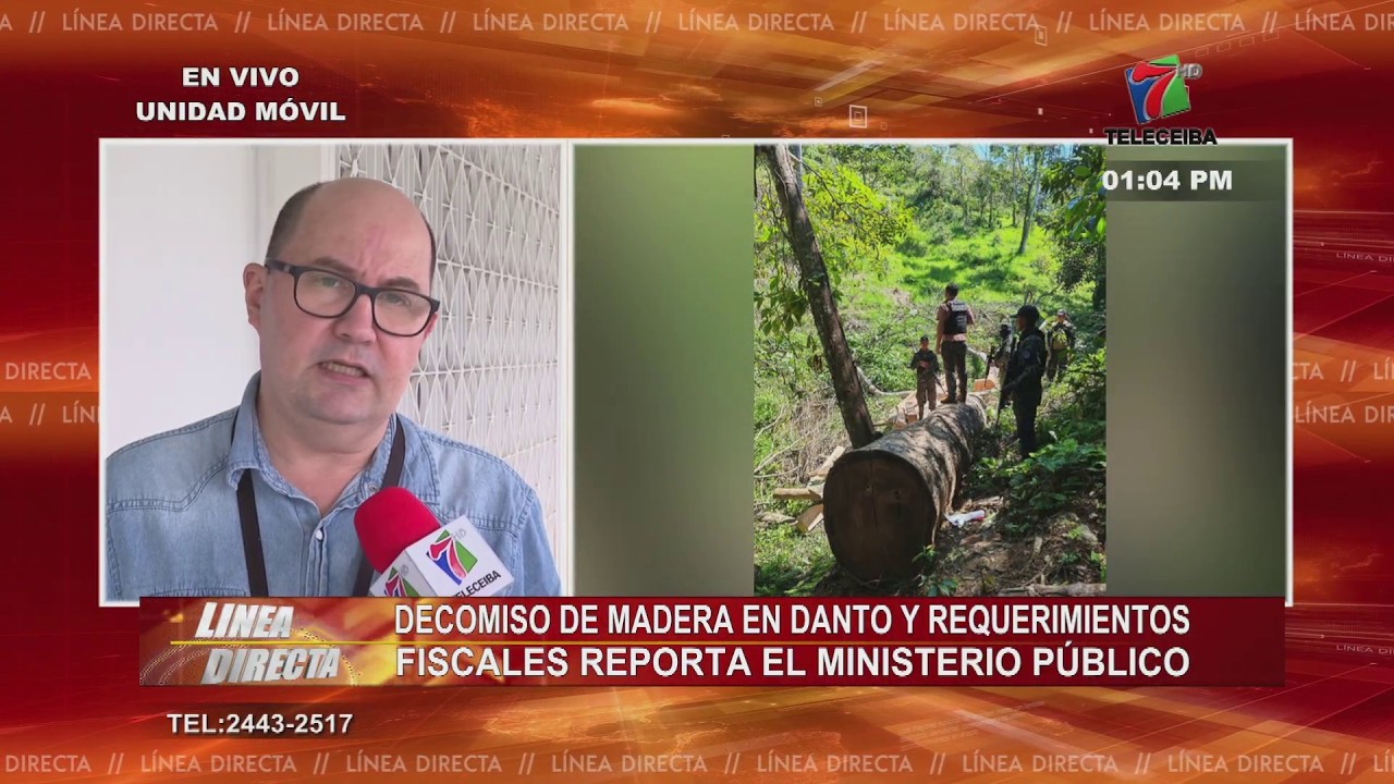 Decomiso de madera en la Cuenca de Danto y requerimientos fiscales reporta el Ministerio Público