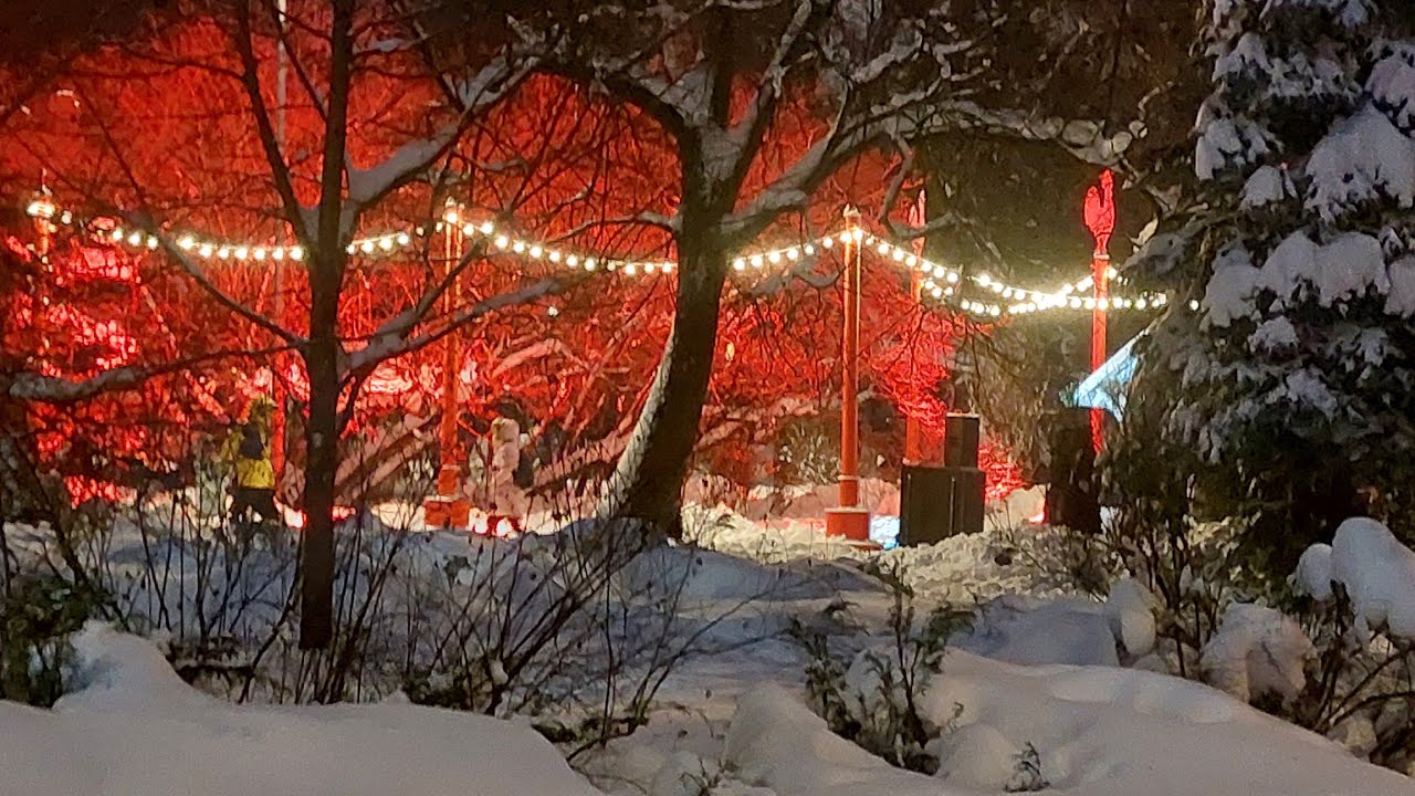 СНЕГОПАД ОБРУШИЛСЯ НА МОСКВУ.