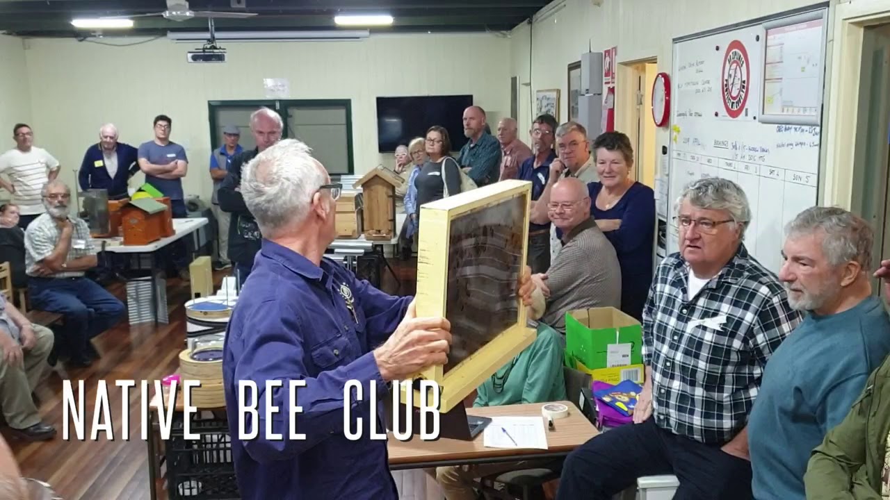 Native Bee Hive Expo