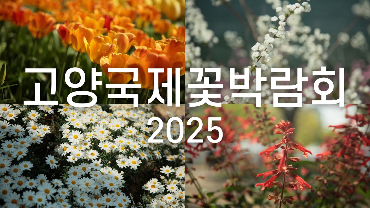 고양국제꽃박람회 2025 가기전에 알면 좋은 정보들 |  솔직 리뷰 | Intenational Horticulture Goyang Korea 2025