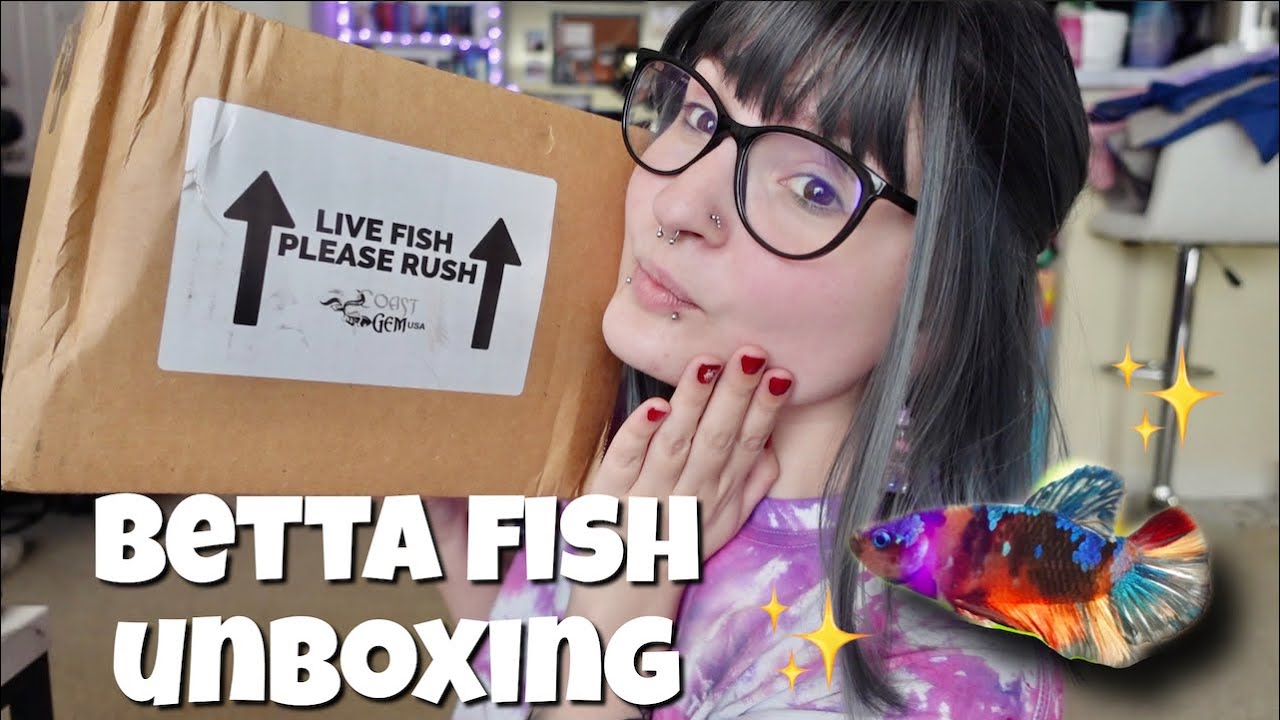 unboxing my new betta fish🐠✨