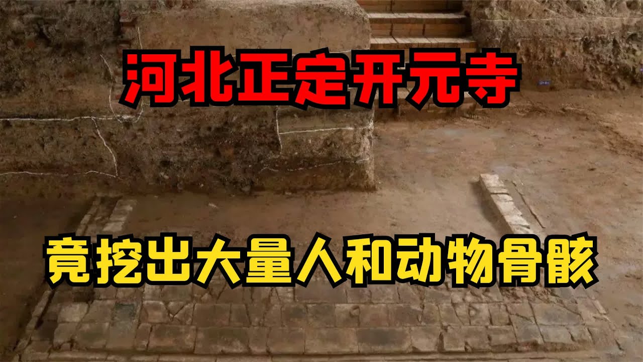 河北正定開元寺，藏有無數奇珍異寶，還挖出大量人和動物骸骨 #正定开元寺，开元寺地宫，考古发现，河北古建，历史秘闻