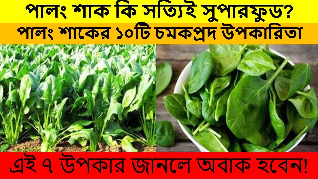 পালং শাকের ১০টি চমকপ্রদ উপকারিতা | প্রতিদিন খেলে শরীরে কী পরিবর্তন হয়? | Spinach Benefits Bangla