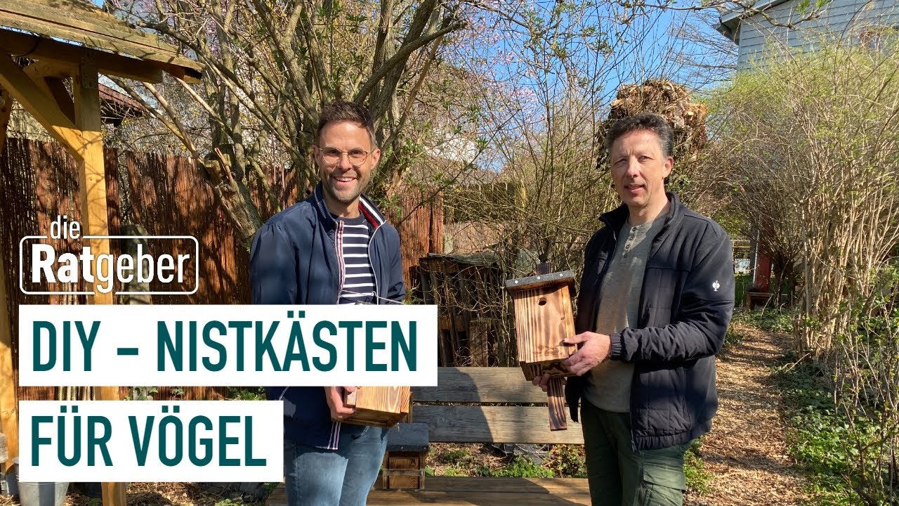 Nistk&auml;sten f&uuml;r V&ouml;gel selber bauen  | Die Ratgeber