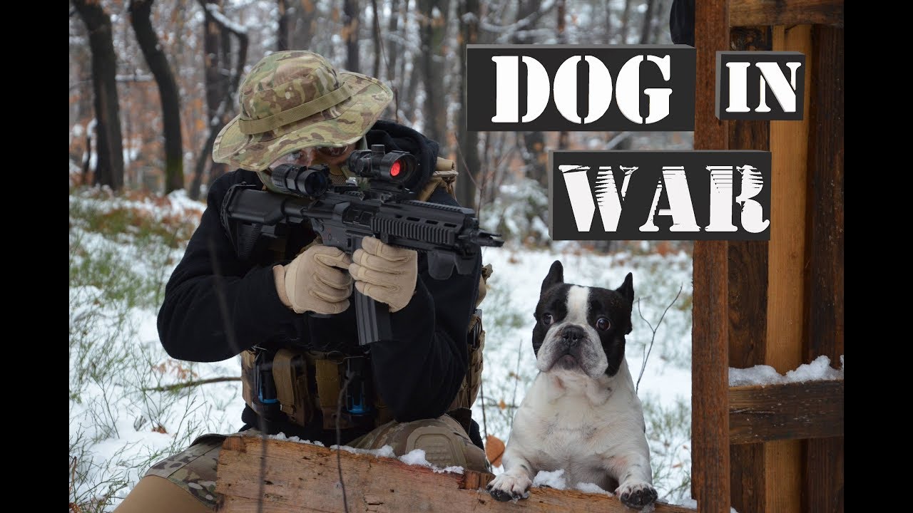 The best CQB arena