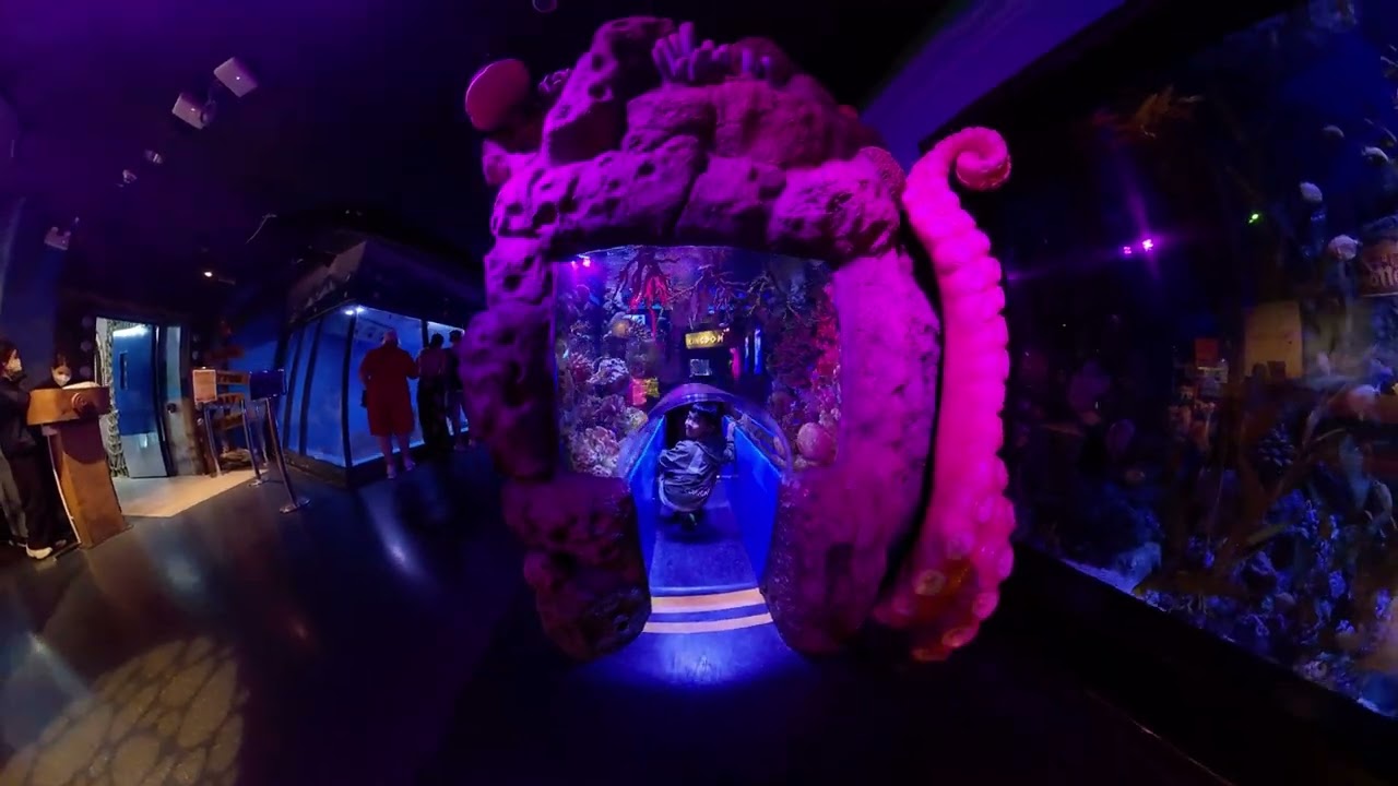 Exploring the GIANT Aquarium in Bangkok! | Sea Life Ocean World Vlog 🦈