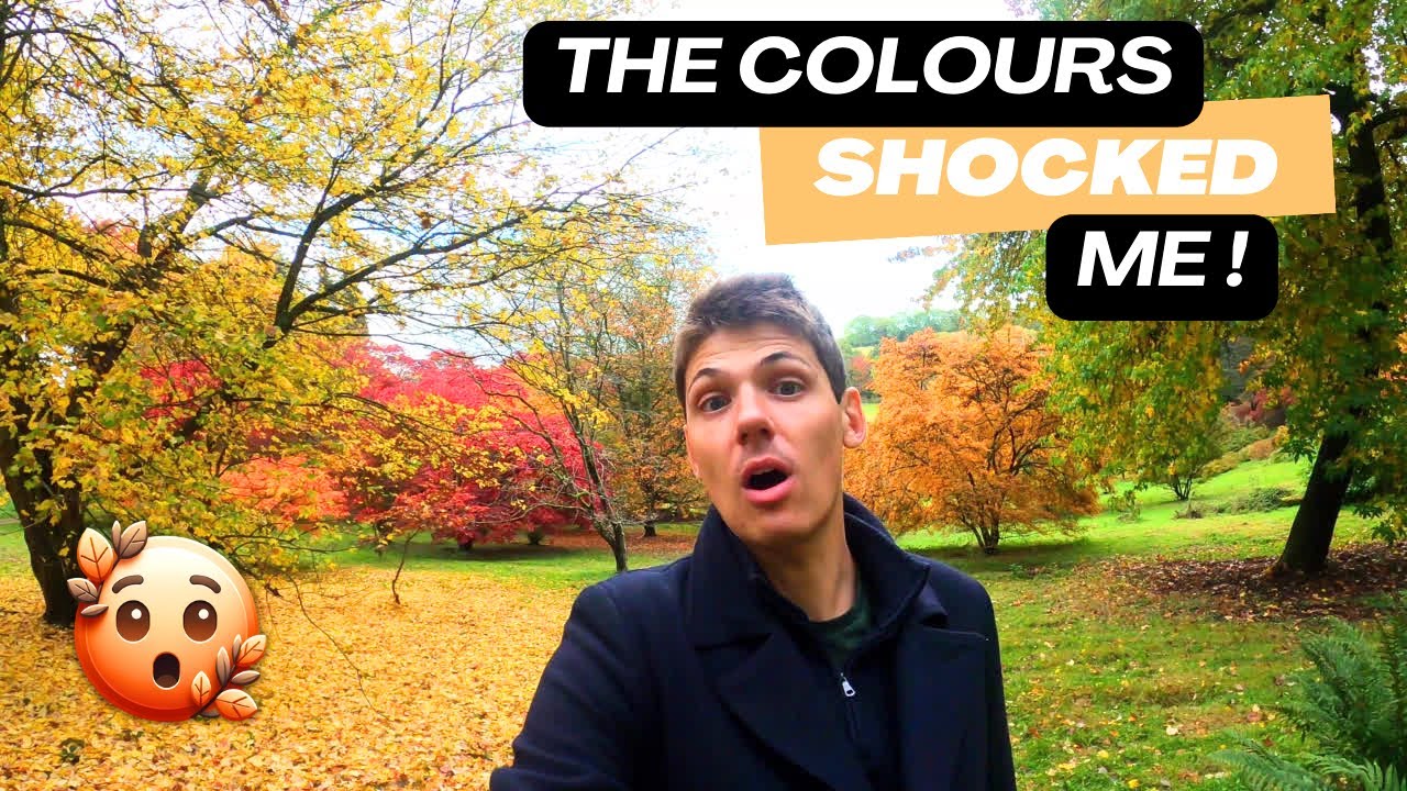 Autumn Like You've NEVER Seen Before - Winkworth Arboretum