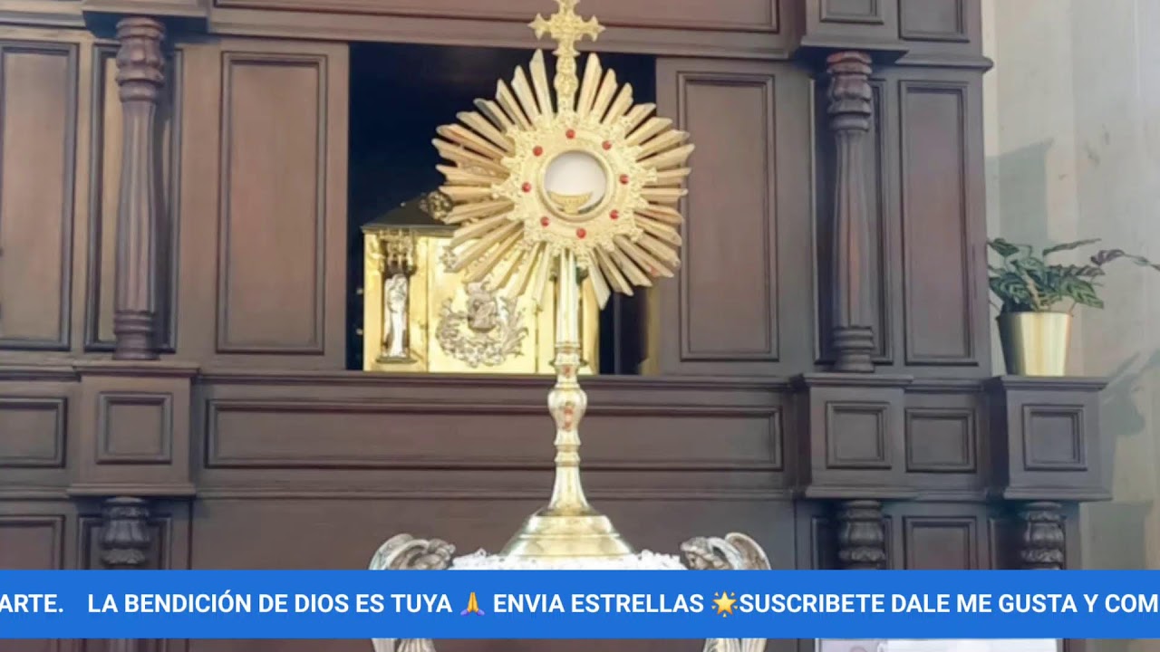 VIVA JESÚS SACRAMENTADO  JUEVES 29 /01/2026