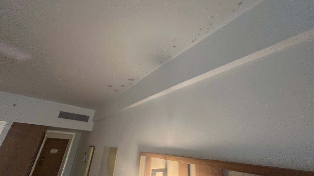 RIU Palace Bavaro - NEW ROOM MOLD PROBLEM YUCK!!!!