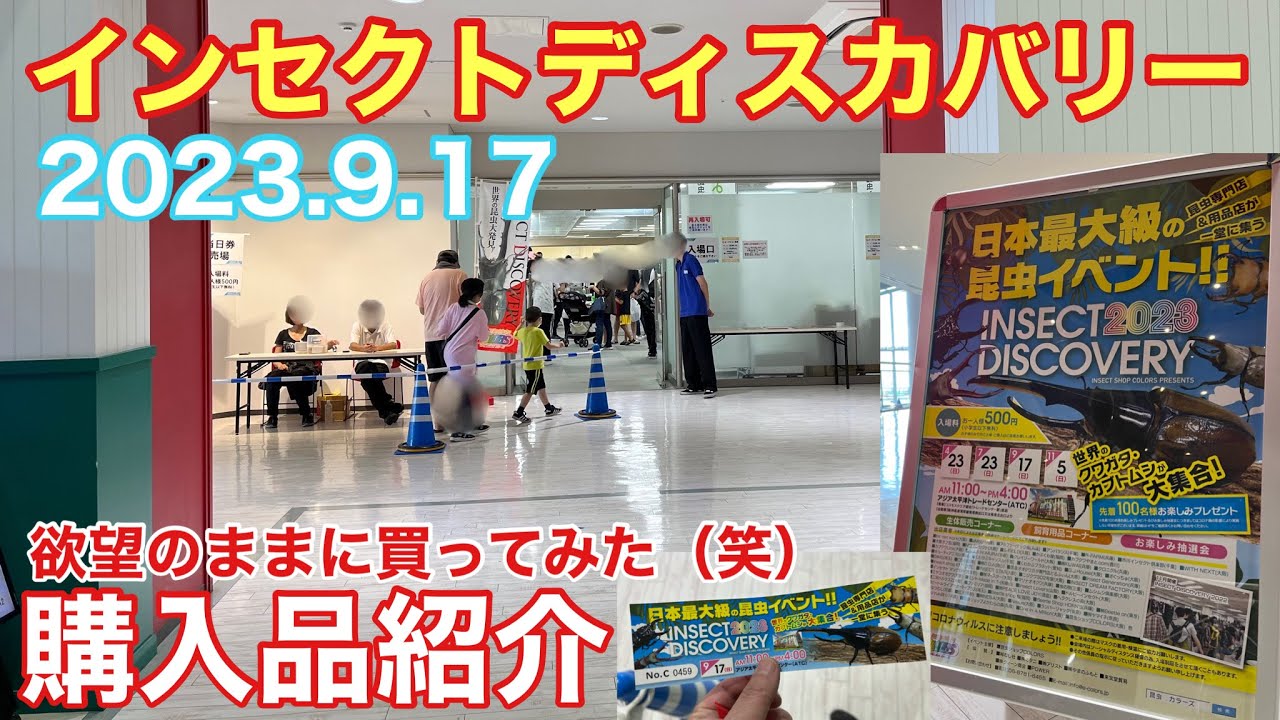 インセクトディスカバリー　２０２３．９．１７ 購入品紹介