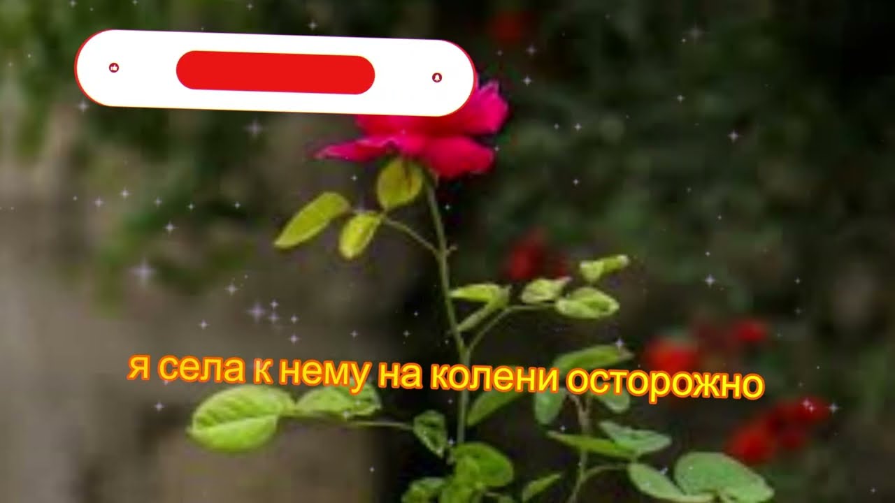 Мой папа всегда был очень ласковым… но однажды произошло нечто неожиданное