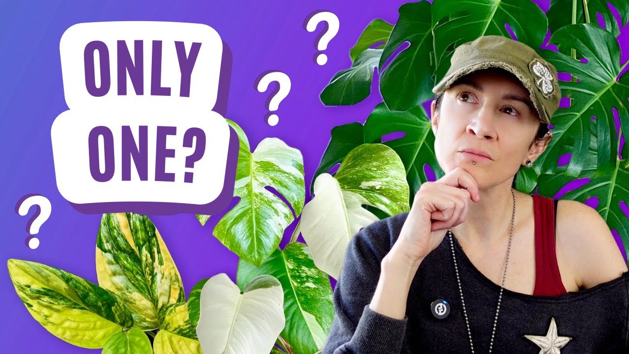 Only ONE Plant Per Genus?! Here&rsquo;s What I&rsquo;d Keep