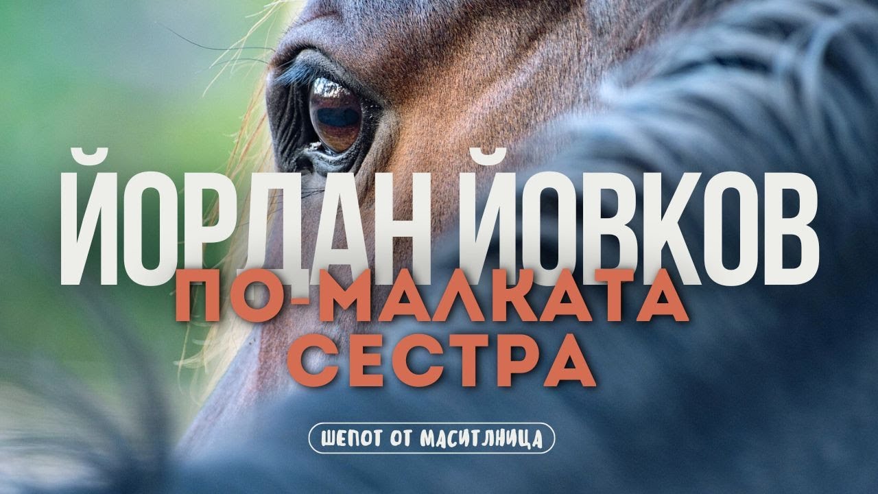 Йордан Йовков - По-малката сестра