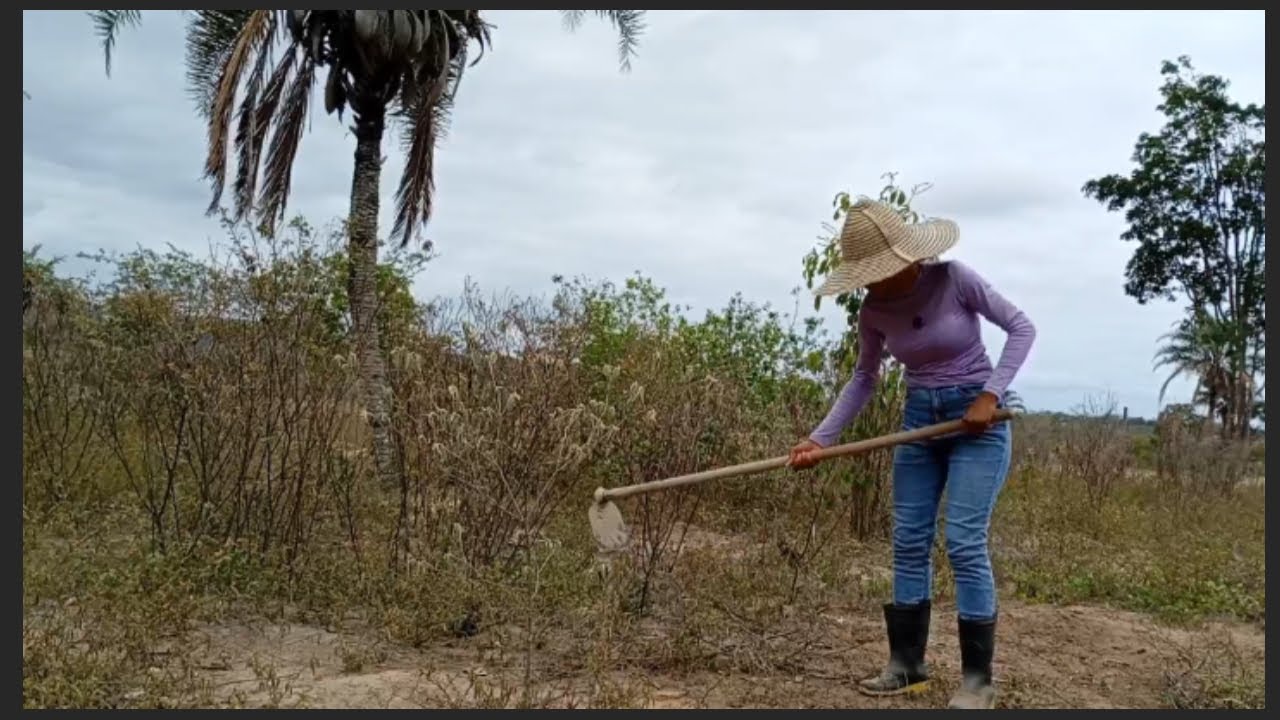 Capinando pra plantar mandioca 
