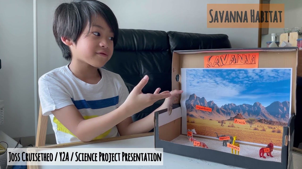 Savanna Habitat (Presentation)