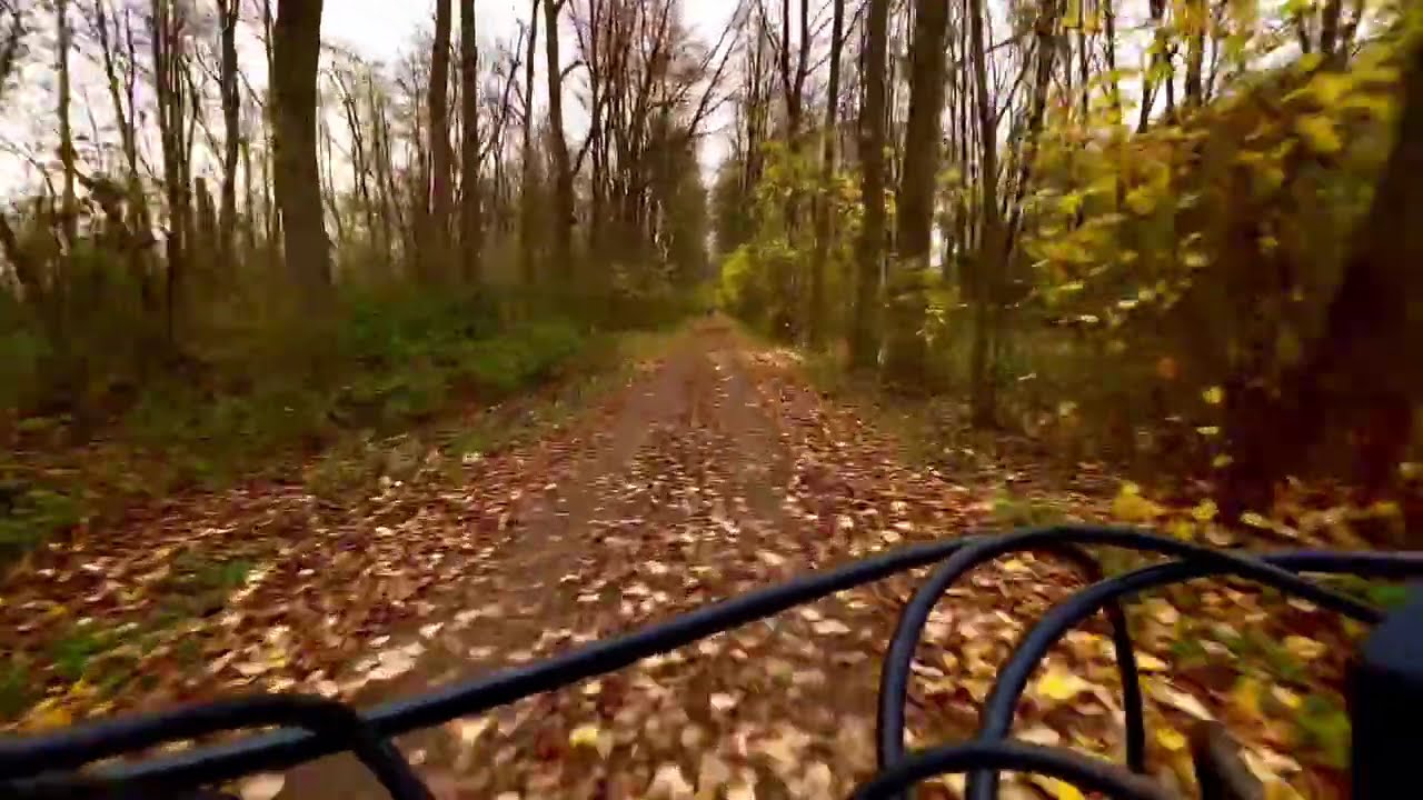 Herbstliche Radtour — Raschelnde Blätter | 2 Minuten Ruhe