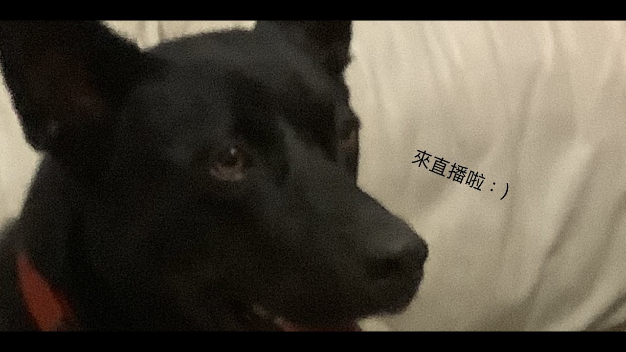 淡遊了🙂‍↕️