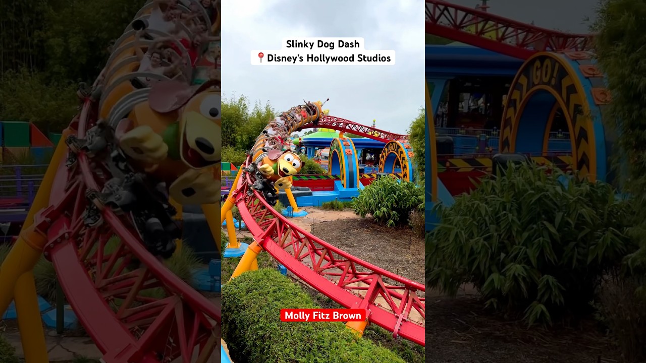 Slinky Dog Dash 🐶🎢 #dog #rollercoaster #coaster #hollywoodstudios #disney #fast #ride #toystory #fyp