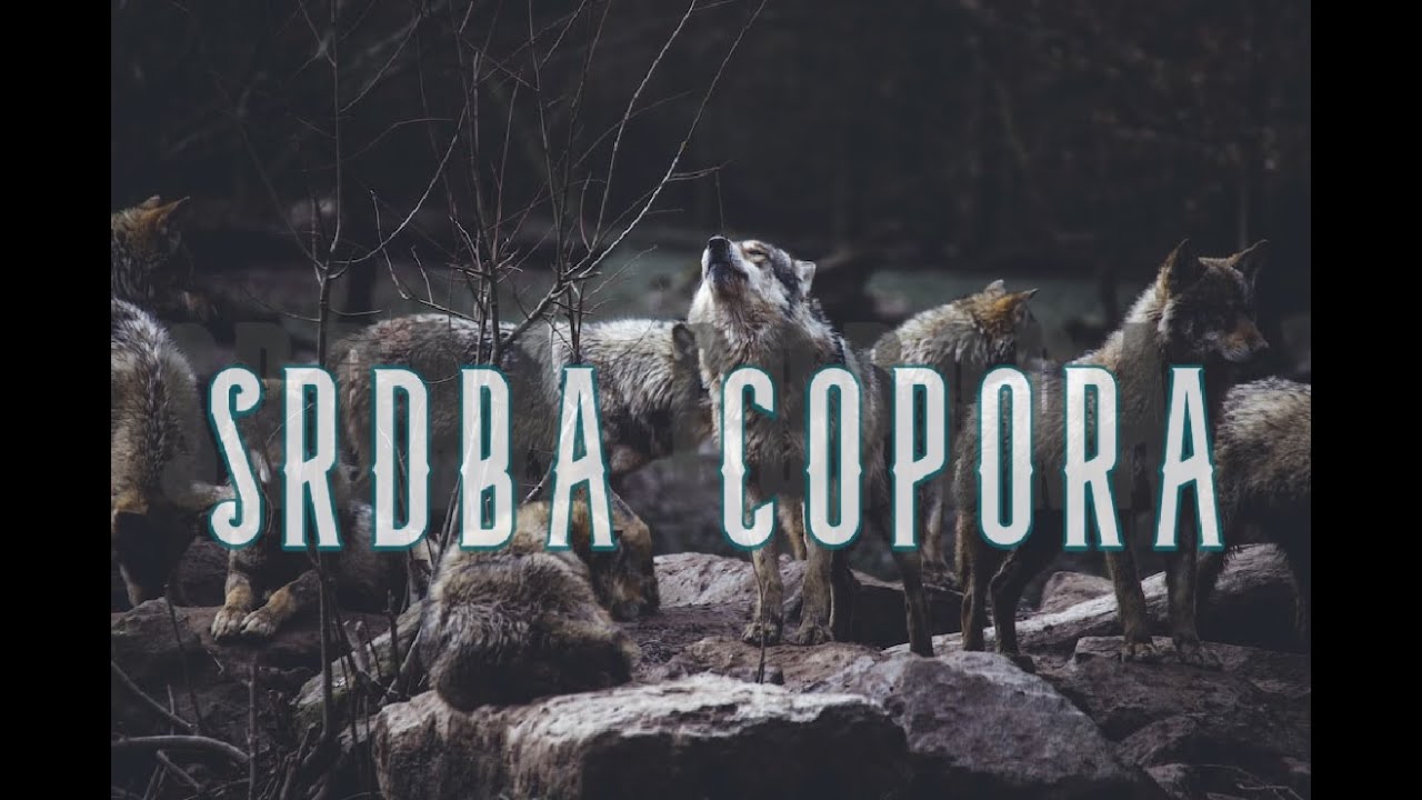 SRDBA COPORA (Jeziva Horor Prica)