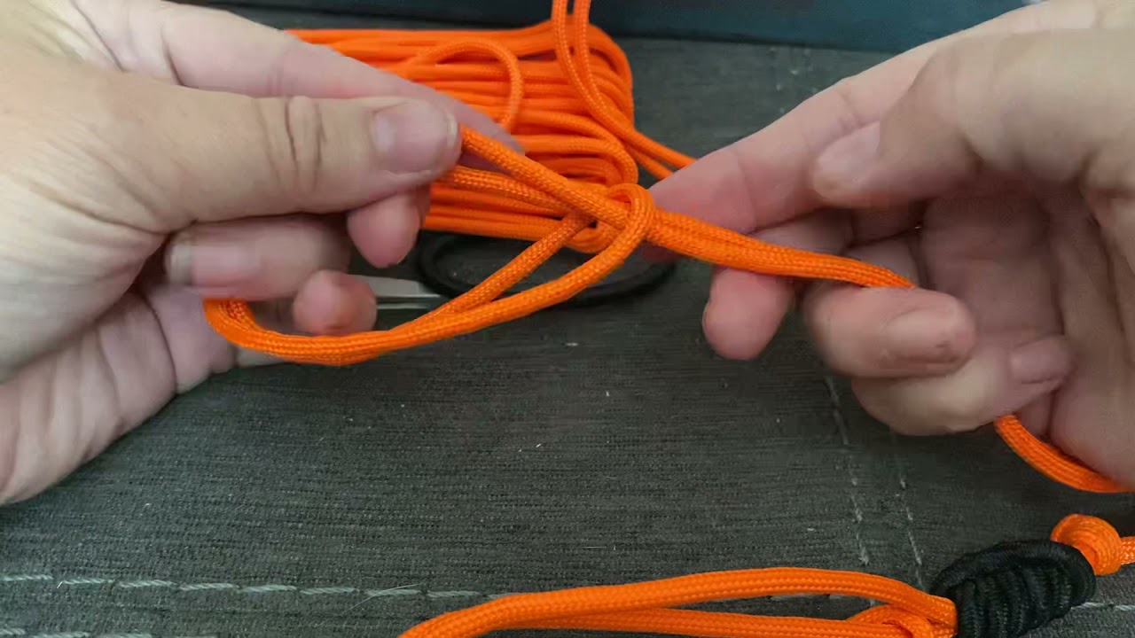 DIY beadless lizard leash