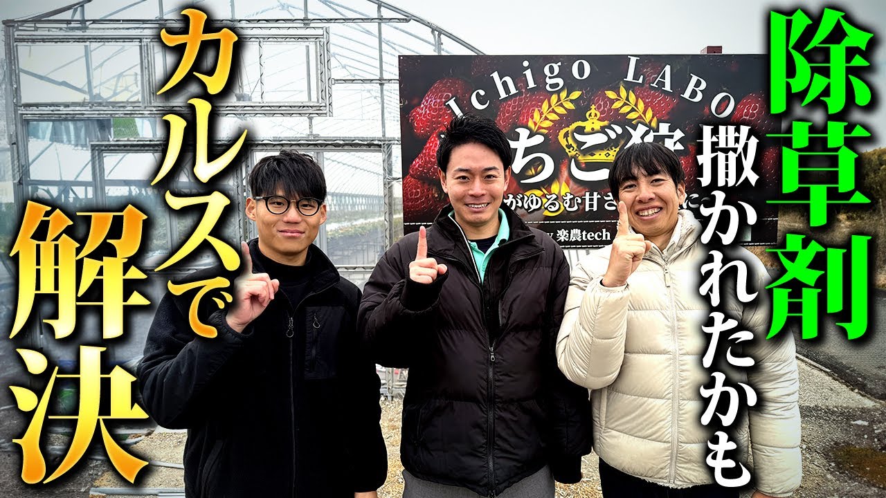 圧倒的な微生物の力！メーカー社長・会長が語るカルスNC-Rのまだ見ぬ可能性とは？【家庭菜園 土づくり ガーデニング 微生物資材】