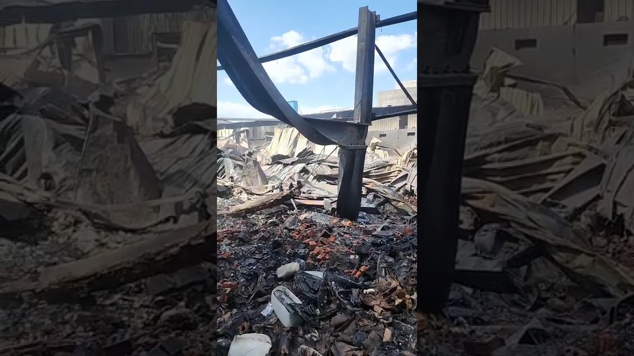 المنصورة اليوم المكان تحول لرماد في كـ ارثة مروعة هزت المحافظة وكواليس الخسائر الفادحة