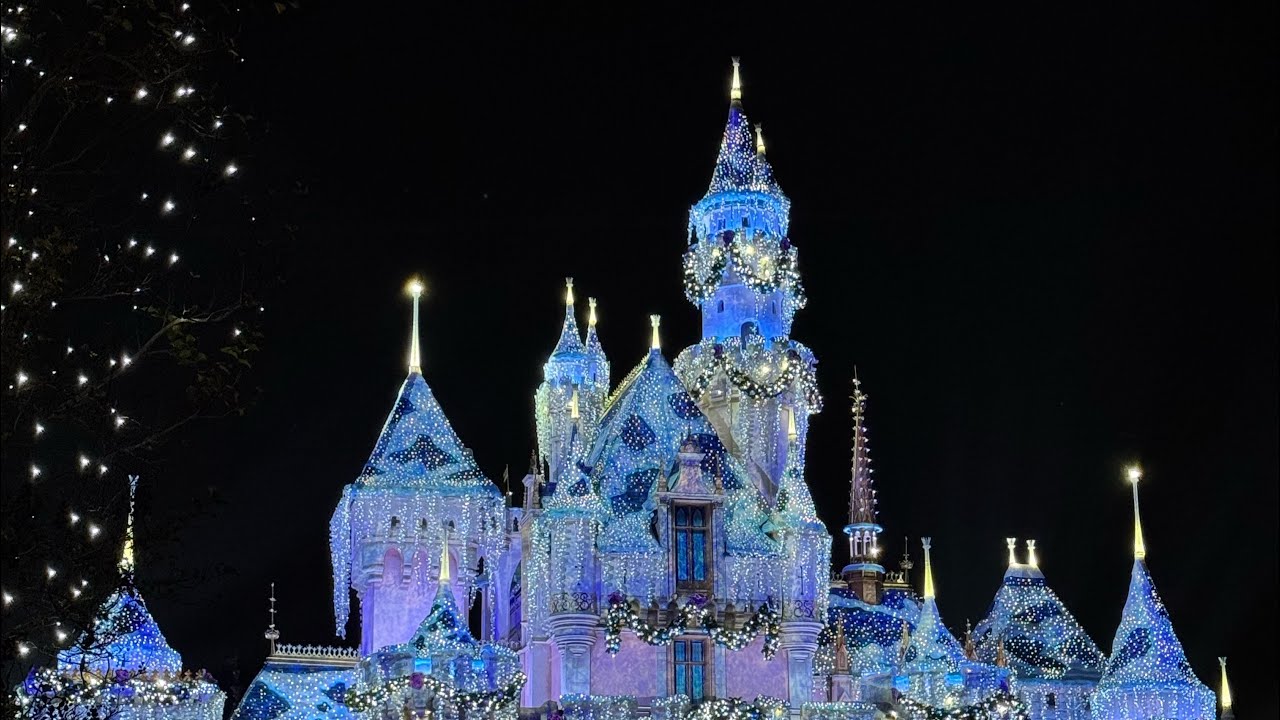 DISNEYLAND WITH COOSINZ