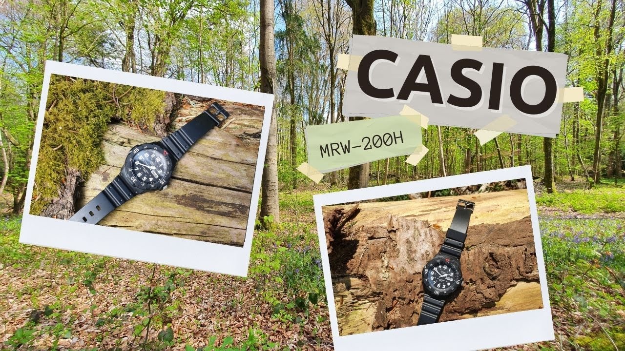 Casio MRW-200H, an Unexpected Favourite