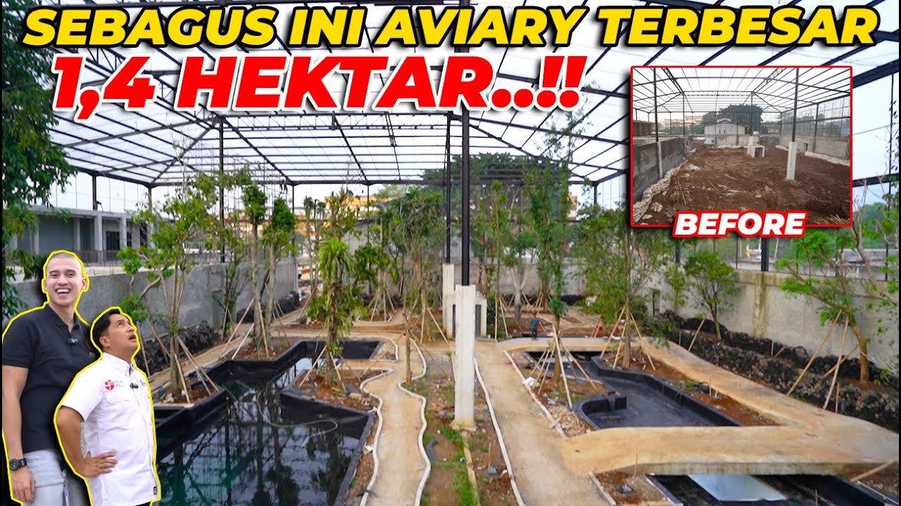 SUMPAHH..! AVIARY 15X LEBIH BESAR DARI AVIARY DEHAKIMS SEBAGUS INI..! BURUNG2 BAKAL NYAMAN BANGET