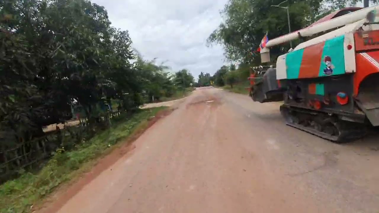 ហេតុអ្វីបានជាប្រជាជនហាល ស្រូវលើផ្លូវថ្នលចឹង?