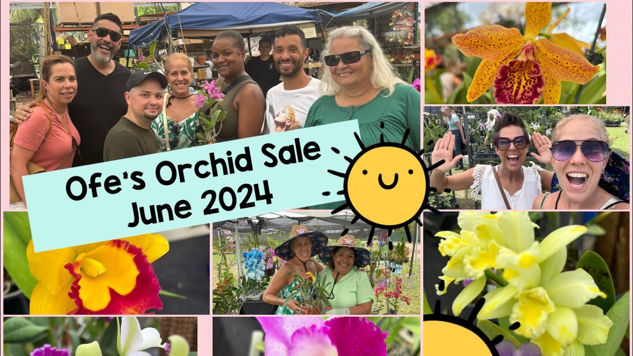 Miami’s Local Orchid Fair at OFEs- June 2024- Part One