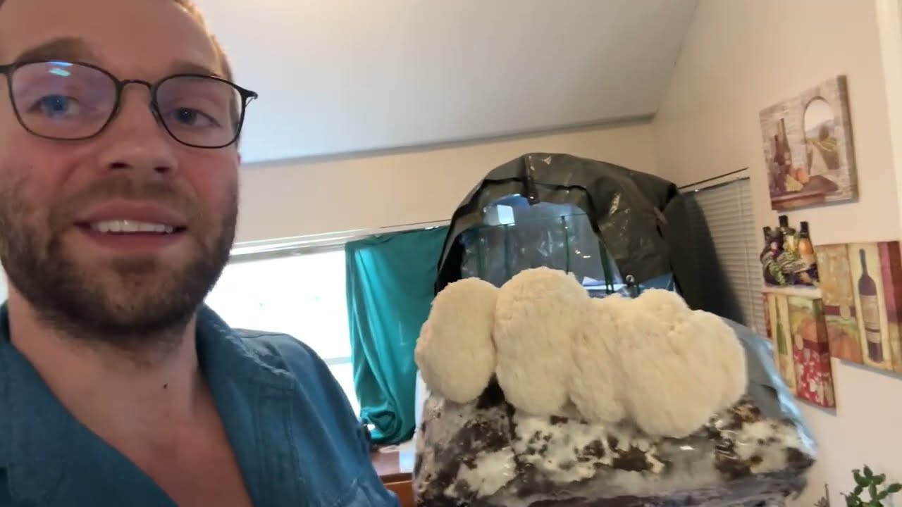 Fungi Express Ep. 02: First Ever Lion's Mane Fruit & The Dehydro