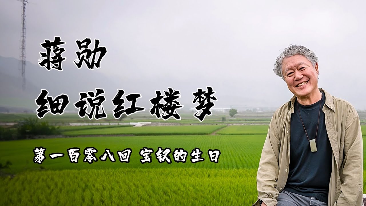 蒋勋细说红楼梦 青春版 第一百零八回 宝钗的生日
