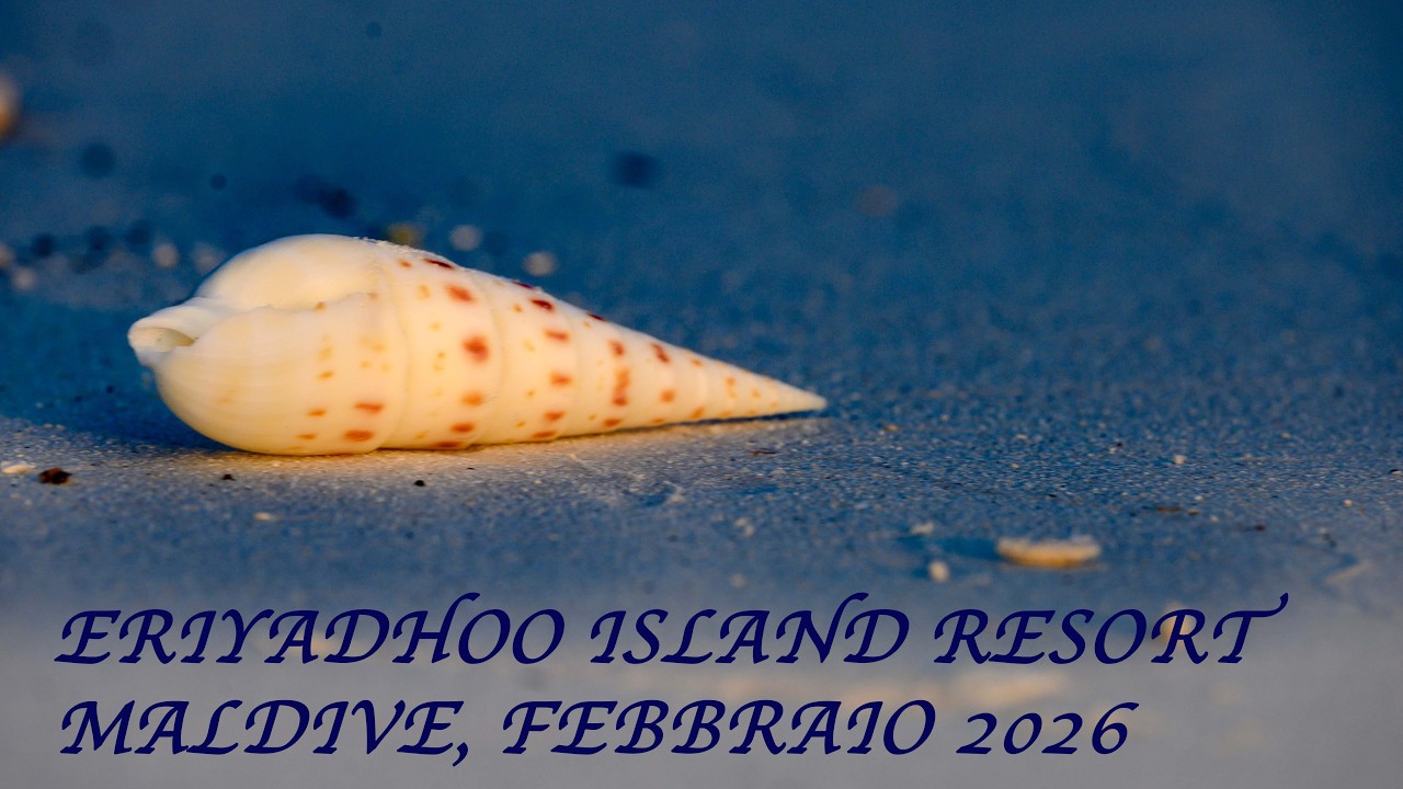 Maldive Eriyadhoo, febbraio 2026