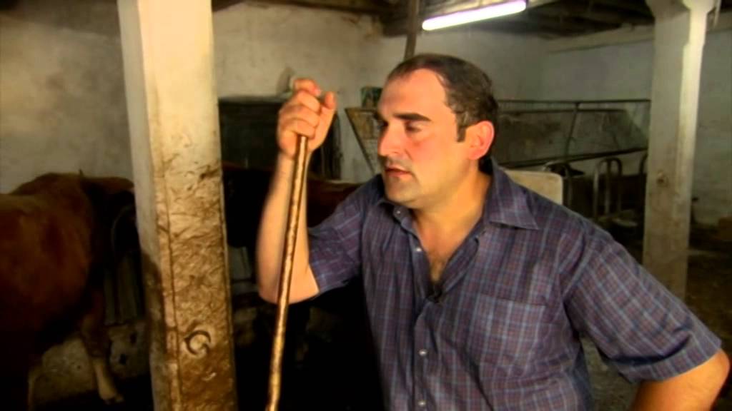 Josu Oñaederra, iditzaina